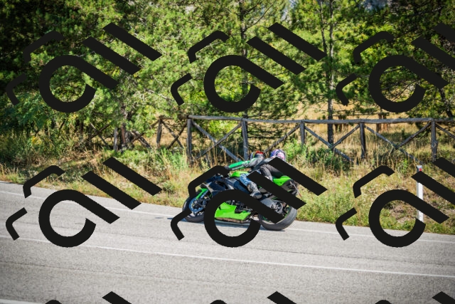 202509211206-DSC09344_c1_