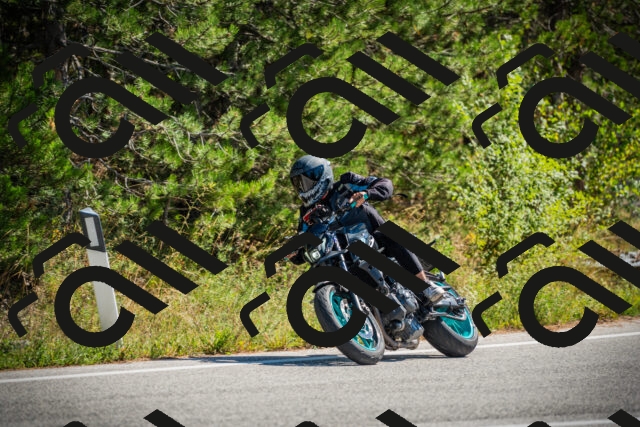 202509211209-DSC09365_c1_