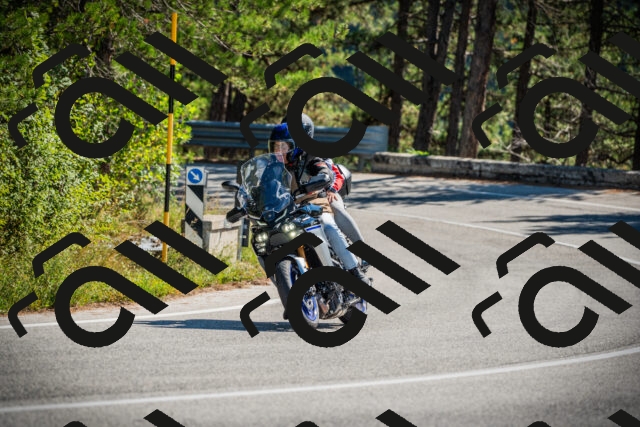 202509211210-DSC09379_c1_