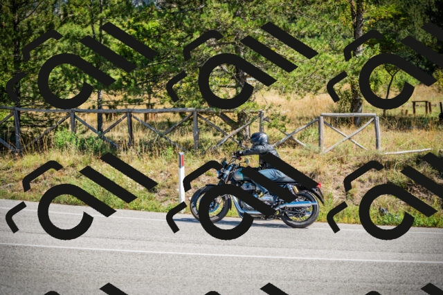 202509211211-DSC09422_c1_