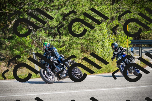 202509211211-DSC09425_c1_