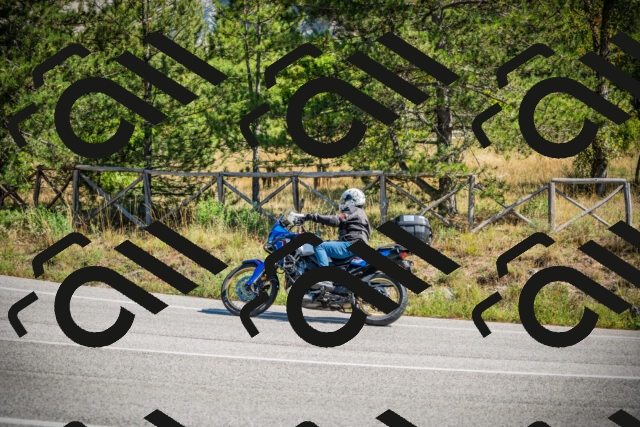 202509211212-DSC09447_c1_