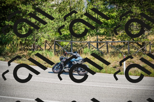 202509211212-DSC09450_c1_