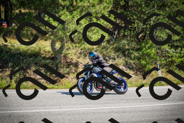 202509211214-DSC09476_c1_