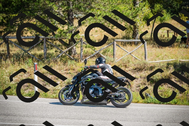 202509211216-DSC09490_c1_