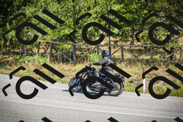 202509211216-DSC09497_c1_