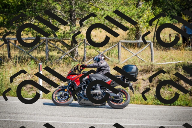 202509211217-DSC09510_c1_