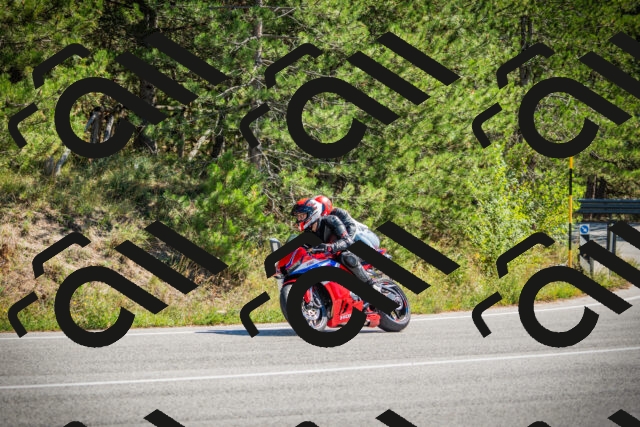 202509211217-DSC09518_c1_