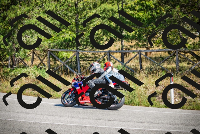 202509211217-DSC09520_c1_