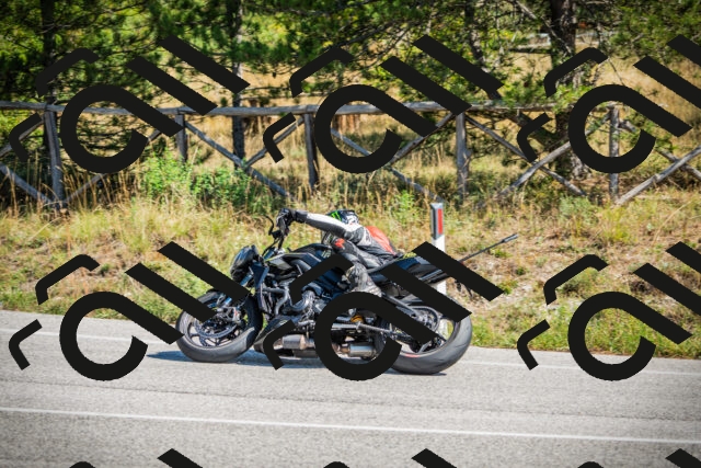 202509211217-DSC09529_c1_