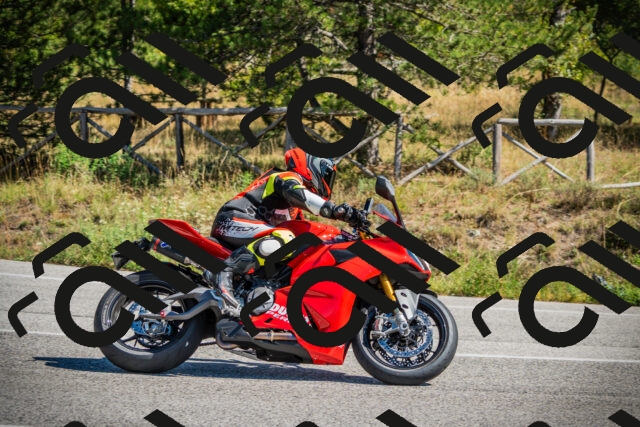 202509211217-DSC09531_c1_