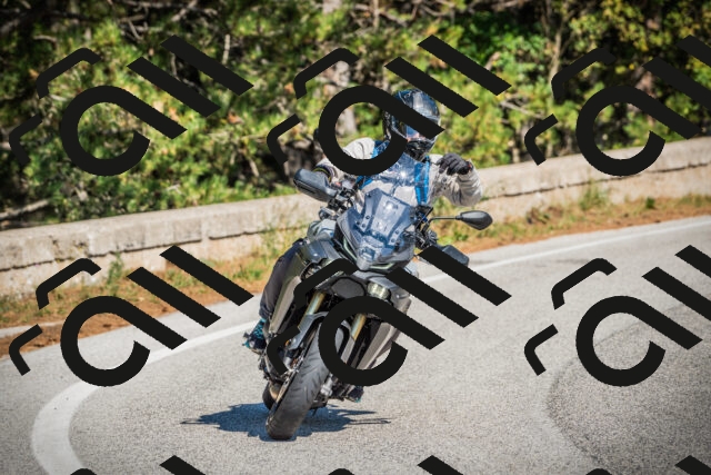 202509211218-DSC09536_c1_