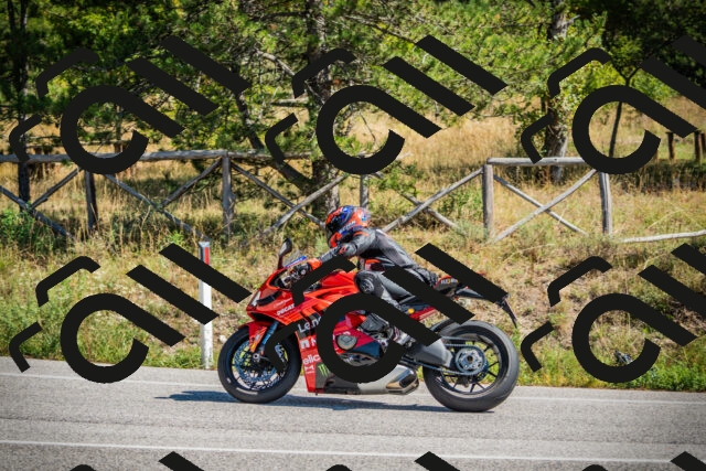 202509211218-DSC09546_c1_