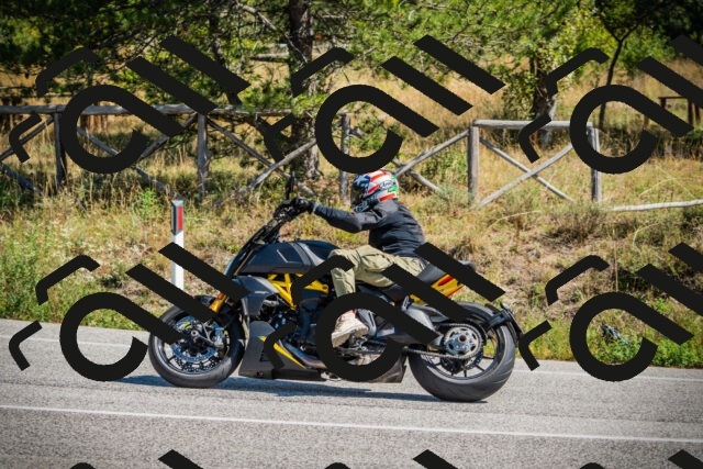 202509211218-DSC09548_c1_