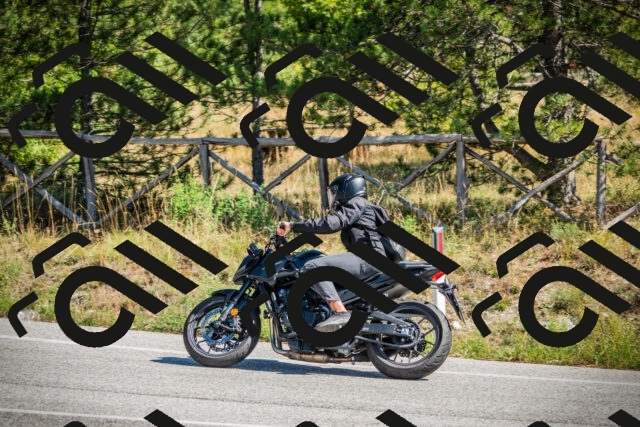 202509211218-DSC09560_c1_