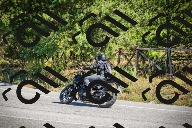 202509211218-DSC09561_c1_