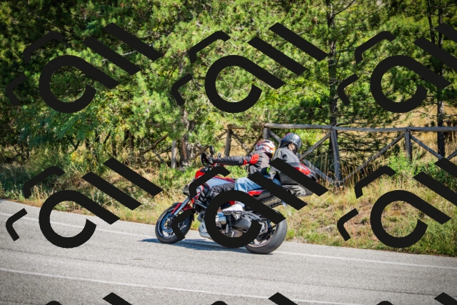 202509211220-DSC09573_c1_