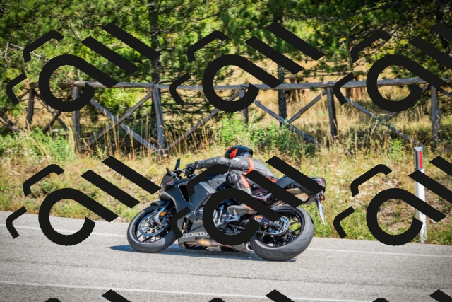 202509211220-DSC09576_c1_