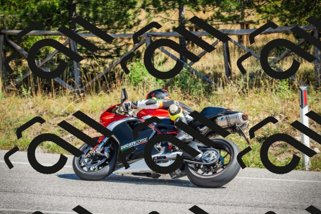 202509211224-DSC09653_c1_