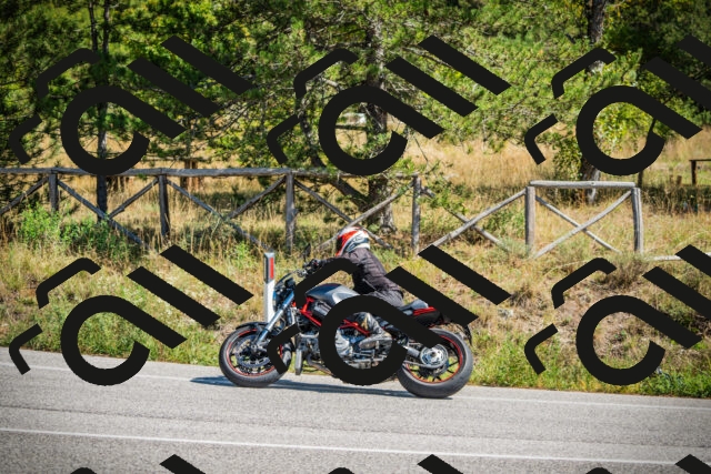 202509211224-DSC09657_c1_