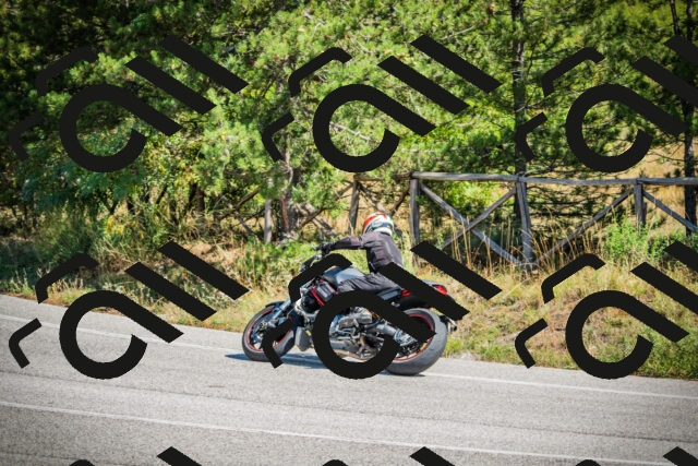 202509211224-DSC09658_c1_