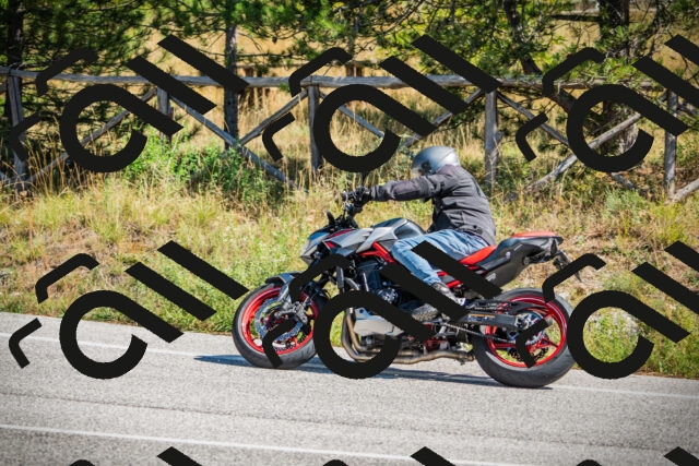 202509211225-DSC09691_c1_