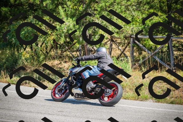 202509211225-DSC09692_c1_