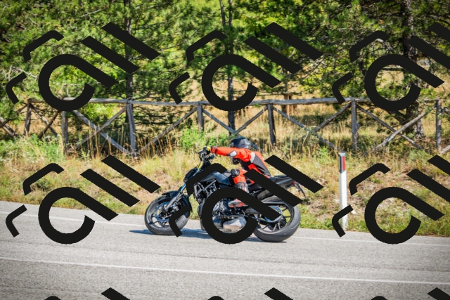 202509211226-DSC09729_c1_