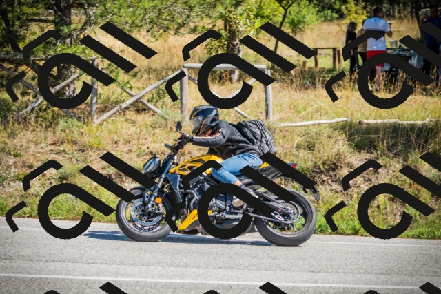 202509211228-DSC09776_c1_