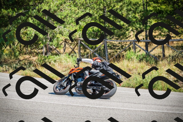 202509211228-DSC09782_c1_