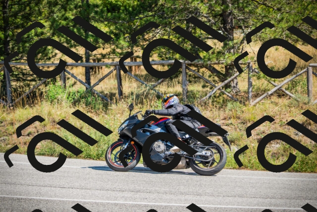 202509211228-DSC09798_c1_