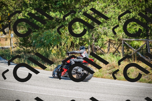 202509211229-DSC09809_c1_