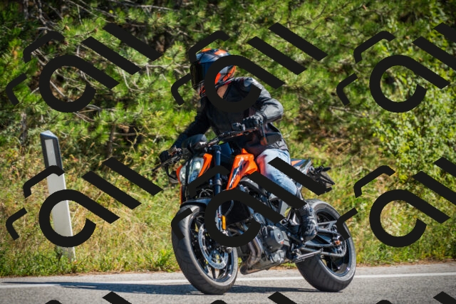 202509211229-DSC09810_c1_