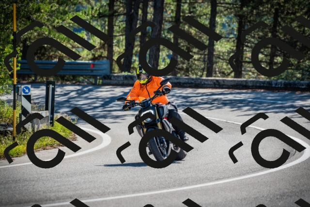 202509271030-DSC00093_c1_