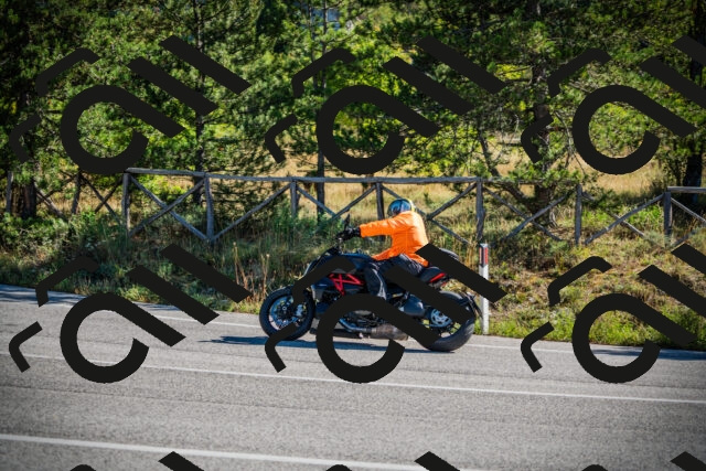 202509271030-DSC00095_c1_