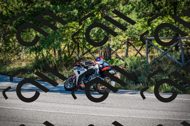 202509271032-DSC00106_c1_