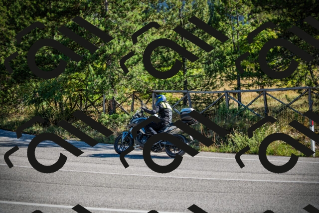 202509271034-DSC00122_c1_