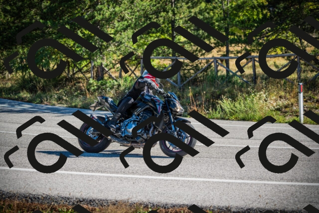 202509271036-DSC00126_c1_