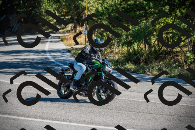 202509271036-DSC00130_c1_