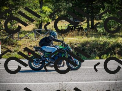 202509271036-DSC00131_c1_