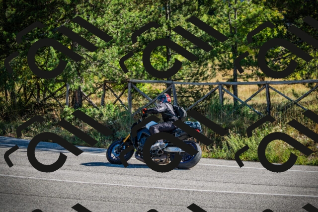 202509271036-DSC00139_c1_