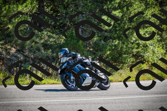 202509271036-DSC00140_c1_