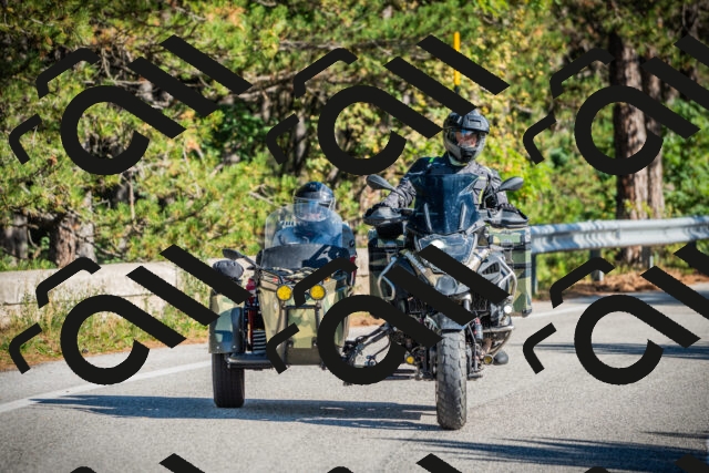 202509271037-DSC00155_c1_