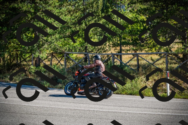 202509271042-DSC00166_c1_