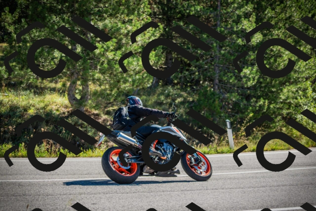 202509271045-DSC00184_c1_