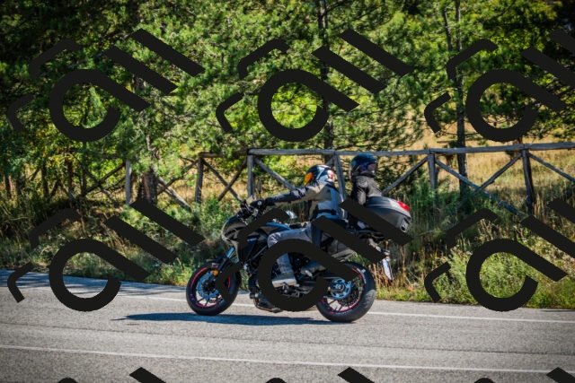 202509271047-DSC00194_c1_