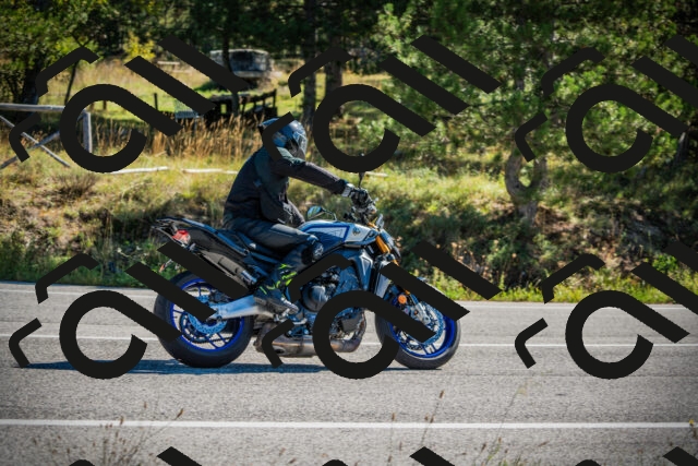 202509271052-DSC00214_c1_