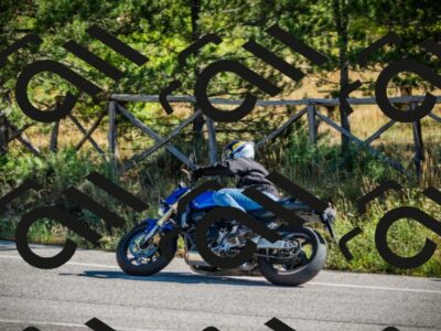 202509271052-DSC00225_c1_