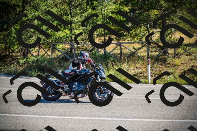 202509271052-DSC00231_c1_