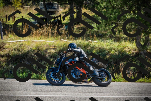 202509271053-DSC00237_c1_